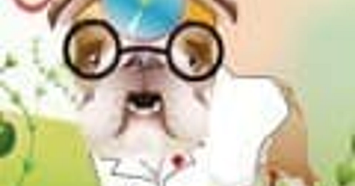 Dr Bulldog Pets Hospital Free online games on