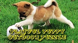 Playful Puppy Outdoor Puzzle