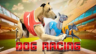 Dog Crazy Racing