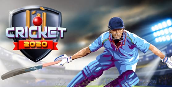 offline cricket flash games software